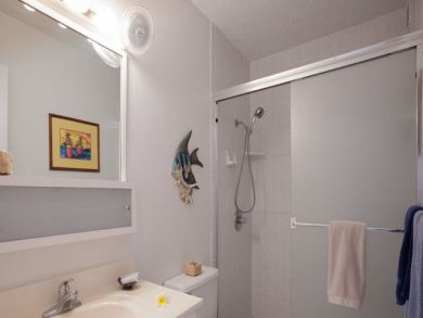 Kohala Coast  Big Island Condo 896218
